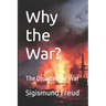 Why the War?: The Disasters of War