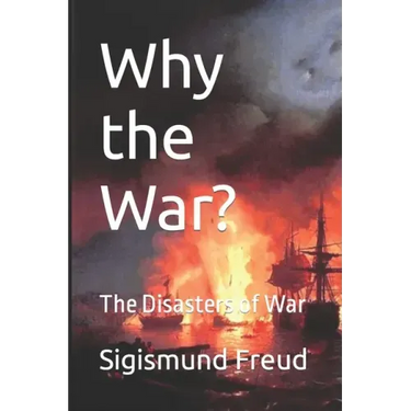 Why the War?: The Disasters of War