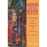 Goddess on the Rise: Pilgrimage and Popular Religion in Vietnam