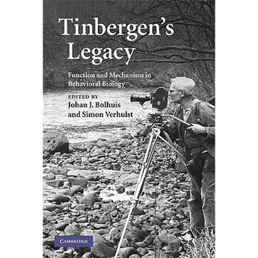 Tinbergen's Legacy