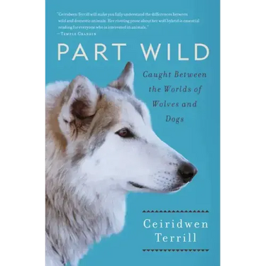 Part Wild: Caught Between the Worlds of Wolves and Dogs