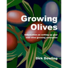 Growing Olives: Information On Setting Up Your Own Olive Growing Enterprise