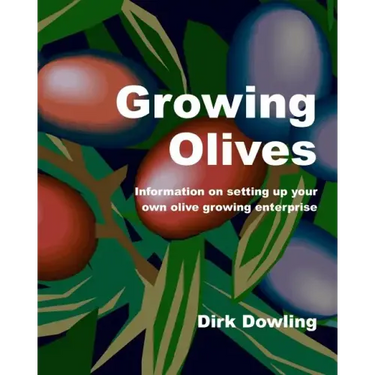 Growing Olives: Information On Setting Up Your Own Olive Growing Enterprise