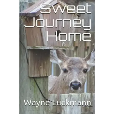 Sweet Journey Home
