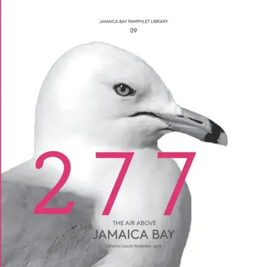 Jamaica Bay Pamphlet Library 09: The Air Above Jamaica Bay