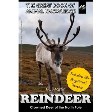 Reindeer: Crowned Deer of the North Pole
