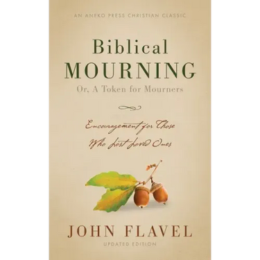 Biblical Mourning: Encouragement for Those Who Lost Loved Ones