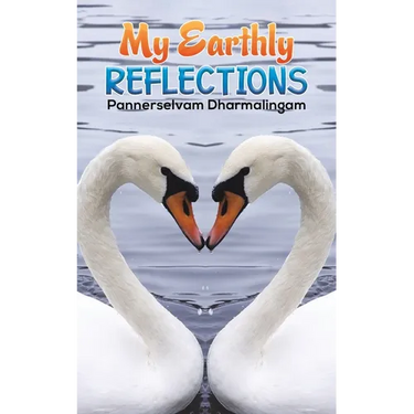 My Earthly Reflections