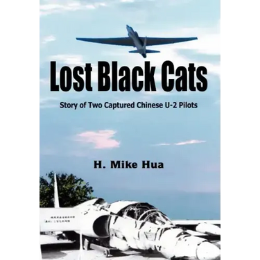 Lost Black Cats