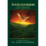 Fire in the Green Mountains: A History of Evangelical Revival in Vermont in the Nineteenth Century