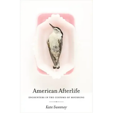 American Afterlife: Encounters in the Customs of Mourning