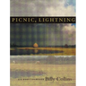 Picnic, Lightning