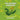 The Runaway Dandelion: Advenuters in SustainAbility
