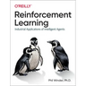 Reinforcement Learning: Industrial Applications of Intelligent Agents