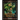 Mythic Magic: Advanced Spells I