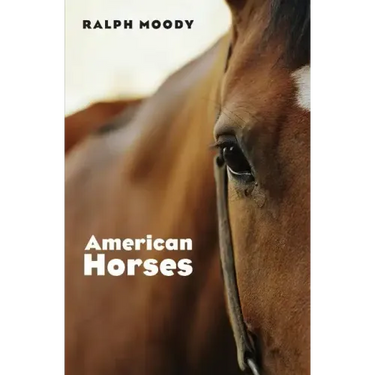 American Horses