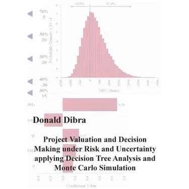 Project Valuation and Decision Making under Risk and Uncertainty applying Decision Tree Analysis and Monte Carlo Simulation
