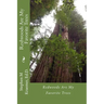 Redwoods are my favorite trees