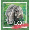 Lop Felt Worried