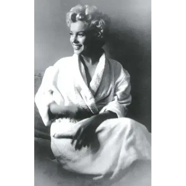 All the Available Light: A Marilyn Monroe Reader