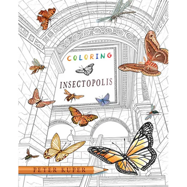 Coloring Insectopolis