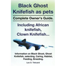 Black Ghost Knifefish as Pets, Incuding African Knifefish, Clown Knifefish... Complete Owner's Guide. Black Ghost, Ghost Knifefish, Selecting, Caring,