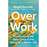 Over Work: Transforming the Daily Grind in the Quest for a Better Life