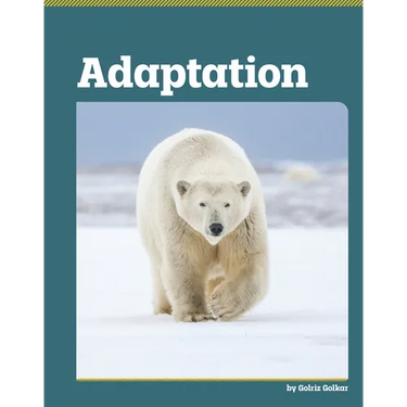 Adaptation