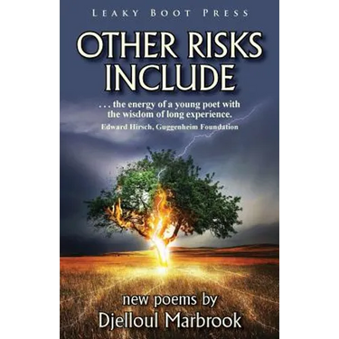 Other Risks Include