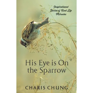His Eye Is on the Sparrow: Inspirational Stories of Real Life Miracles