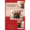 The Miracle of Harley: What Every Rescue Dog Owner Needs to Know