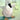 The Ugly Duckling