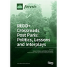 REDD+ Crossroads Post Paris: Politics, Lessons and Interplays