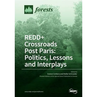REDD+ Crossroads Post Paris: Politics, Lessons and Interplays