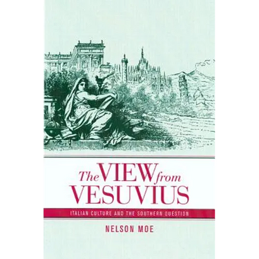 The View from Vesuvius: Italian Culture and the Southern Question Volume 46