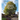 Great British Elms