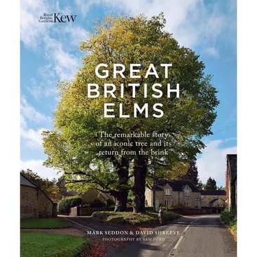Great British Elms