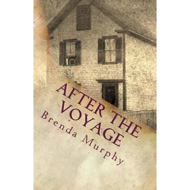 After the Voyage: An Irish American Story