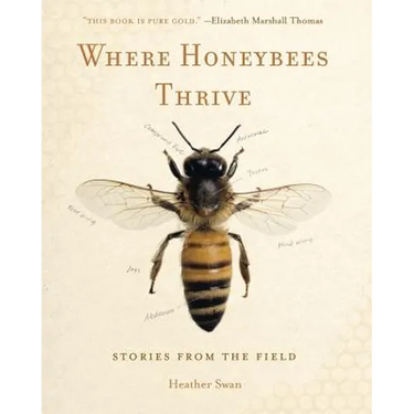 Where Honeybees Thrive: Stories from the Field