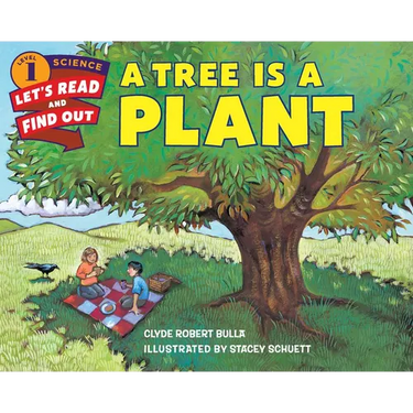 A Tree Is a Plant