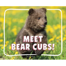Meet Bear Cubs!