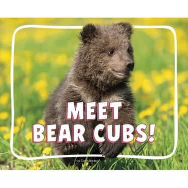 Meet Bear Cubs!