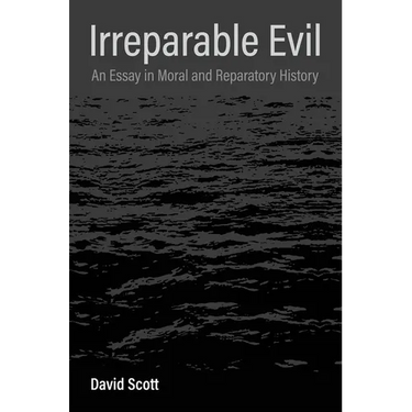 Irreparable Evil: An Essay in Moral and Reparatory History