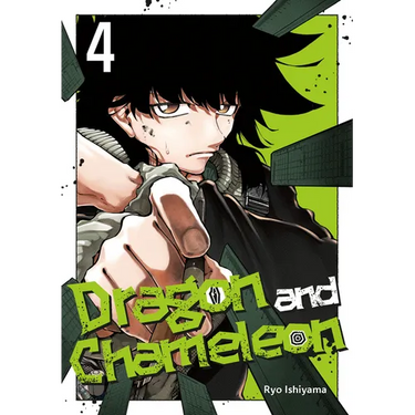 Dragon and Chameleon 04
