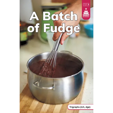 A Batch of Fudge