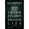 Glimpses of an Irish Felon's Prison Life