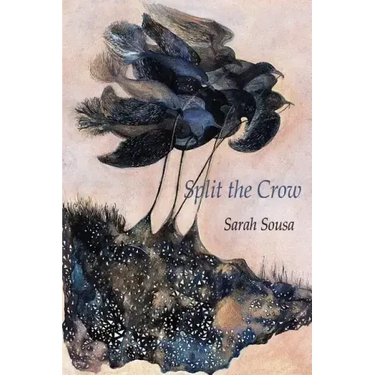 Split the Crow