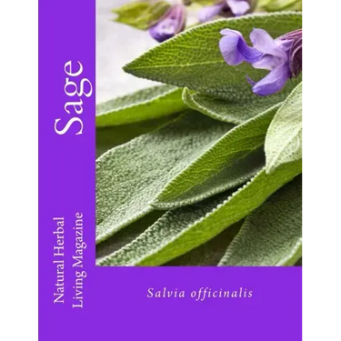 Sage - Salvia spp.