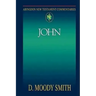 Abingdon New Testament Commentaries: John