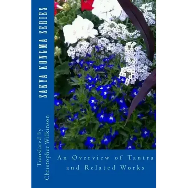 An Overview of Tantra and Related Works